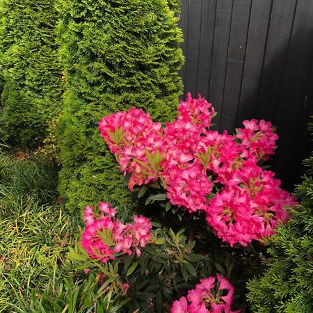 Memorial Holiday Home Christchurch Luaran gambar