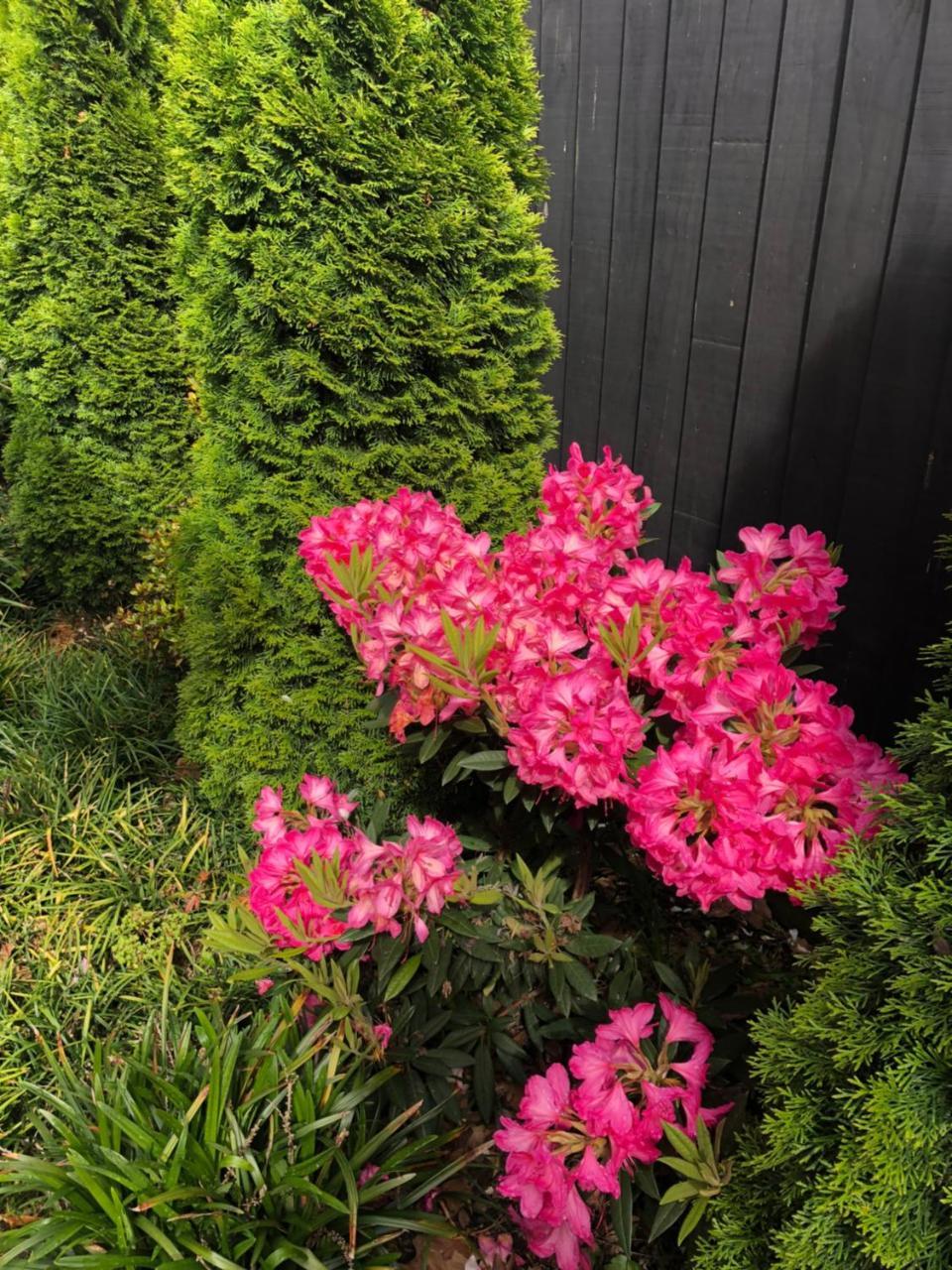 Memorial Holiday Home Christchurch Luaran gambar